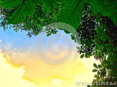 Sunshine Stock Photo